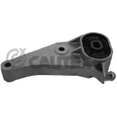 CAUTEX Lagerung Motor 755961 für Opel General Motors Hinten