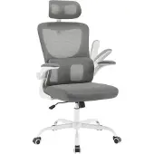 Woltu Bürostuhl ergonomisch, Schreibtischstuhl Netzstoff, höhenverstellbar : Grau Farbe: Grau