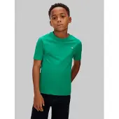 Calvin Klein Jeans T-Shirt Mono Mini Badge LV1CKSJA30 Grün Regular Fit