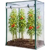 Mojawo Tomatengewächshaus Frühbeet Foliengewächshaus 100x50x150cm