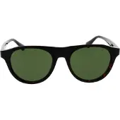 Web WE0377 Dark havana 51/19/150 Herren Sonnenbrillen