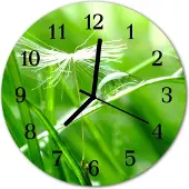 Tulup Glasuhr Wanduhr Küchenuhr Echt-Glas 30fi cm Gras grün