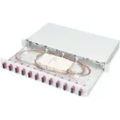 Digitus LWL Spleißbox 1HE bestückt 12x SC DX OM4 grau