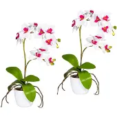 Creativ Green Kunstpflanze "Orchidee Phalaenopsis" im Keramiktopf