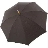Doppler Esche Orion