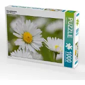 CALVENDO Gänseblümchen 1000 Teile Puzzle quer 640x480mm, Kruse Gisela; 7360839