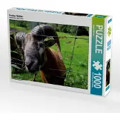 CALVENDO Frecher Widder 1000 Teile Puzzle quer 640x480mm, Bleicher Renate; 7333145