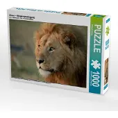 CALVENDO Löwen – Morgenspaziergang 1000 Teile Puzzle quer 640x480mm, Herzog Michael; 7402674