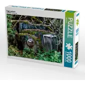 CALVENDO Zugewachsen 1000 Teile Puzzle quer 640x480mm, Rosin Dirk; 7384812