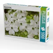CALVENDO Blumen-Hartriegel 1000 Teile Puzzle quer 640x480mm, Kruse Gisela; 7360701