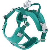 Hurtta Hundegeschirr Weekend Warrior Harness II ECO peacock, 65-80 cm