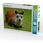 CALVENDO Liegendes Alpaka Fohlen 1000 Teile Puzzle quer 640x480mm, ; 7314876
