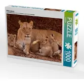 CALVENDO Wilde Löwen 1000 Teile Puzzle quer 640x480mm, Ohm Britta; 7288207