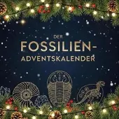 Bookwire Der Fossilien-Adventskalender