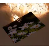 ETT LED Lichterkette mit 50 Clips Wäscheklammern Fotoclip warmweiß