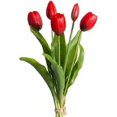 Otto Home Kunstblume "Tulpenbündel Holland real Touch"
