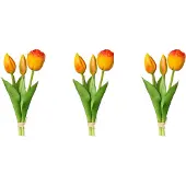 Otto Home Kunsttulpe "Tulpenbund"