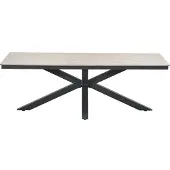 Gardissimo ARMATI Nonwood Alu-Gartentisch Gartenmöbel 220cm (eckig) anthrazit / hell