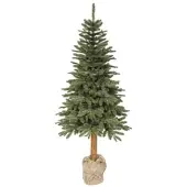 Everlands Tanne Tiaga 240cm - H ca. 240.00