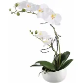 Creativ Green Kunstpflanze "Orchidee"