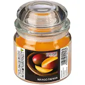 Gala Maxi-Duftkerzen im Glas, Mango-Papaya, Ø 90 mm · 120 mm, "Flavour", 4 Stück