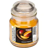 Gala Duftkerzen im Glas, Mango-Papaya, Ø 63 mm · 85 mm, "Flavour", 6 Stück