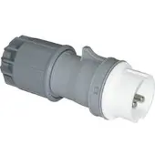 Pce Twist 092-12v CEE-stik 32 A 2-polet 42 V 1 stk