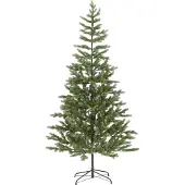 Star Trading Weihnachtsbaum "Arvika", grün,