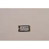 Lenovo M.2 2242 NVMe SSD 256GB, 5SS0V26421