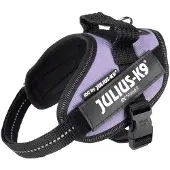JULIUS K-9 Idc Power Mini Hundegeschirr