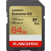 SanDisk Extreme Go