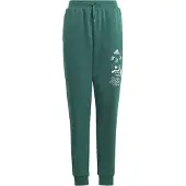 Adidas Trainingsanzüge BLUV Q3 PANT kind