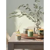Illume Hinoki Salbei Statement Kerze grün
