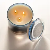 Illume Citrus Crush Statement Kerze blau