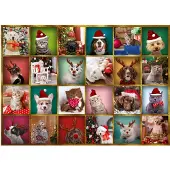Trefl Adventskalender Tiere - Spielzeug Überraschung 42 Stück