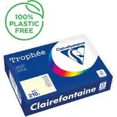 Clairefontaine Elfenbein A4 Farbiges Papier 210 g/m² (500 Blatt)