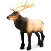 Safari Ltd Moose Figur Braun Kinder Braun One Size
