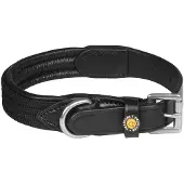 Equestro Web Hundehalsband