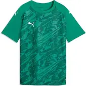 Puma Teamfinal Graphic Jersey Jr sport green-white-power green (05) 176
