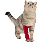 Medical Pet Shirt MPS Vorderbeinmanschette Katze - Rot - S