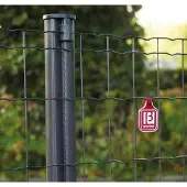 Betafence Gitterzaun Pantanet Family 81 cm/25 m Maße: 101,6 x 50,8 x 2,5 x 810 mm