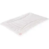 Paradies Ganzjahresbettdecke FLORA BIO - B/L ca. 135,00x200,00