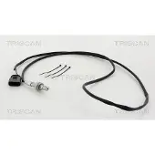 TRISCAN Lambdasonde für VW PASSAT Variant (3B6) 8845 29031