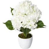 Creativ Green Kunstpflanze "Hortensie" im Keramiktopf