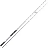 Westin W2 Precision Cast 256cm LML 7-25g - Meeresrute