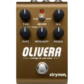 Strymon Olivera Ölkanne Delay