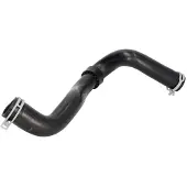 THERMOTEC Kühlerschlauch DWR250TT