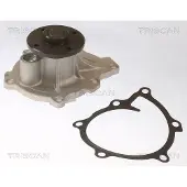 TRISCAN Wasserpumpe [Hersteller-Nr. 860042021] für Mitsubishi, Peugeot, Citroën