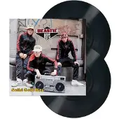 Universal Music - Solid Gold Hits (2 LP)