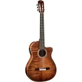Cordoba Fusion 12 Exotic Top Cinnamon Burst